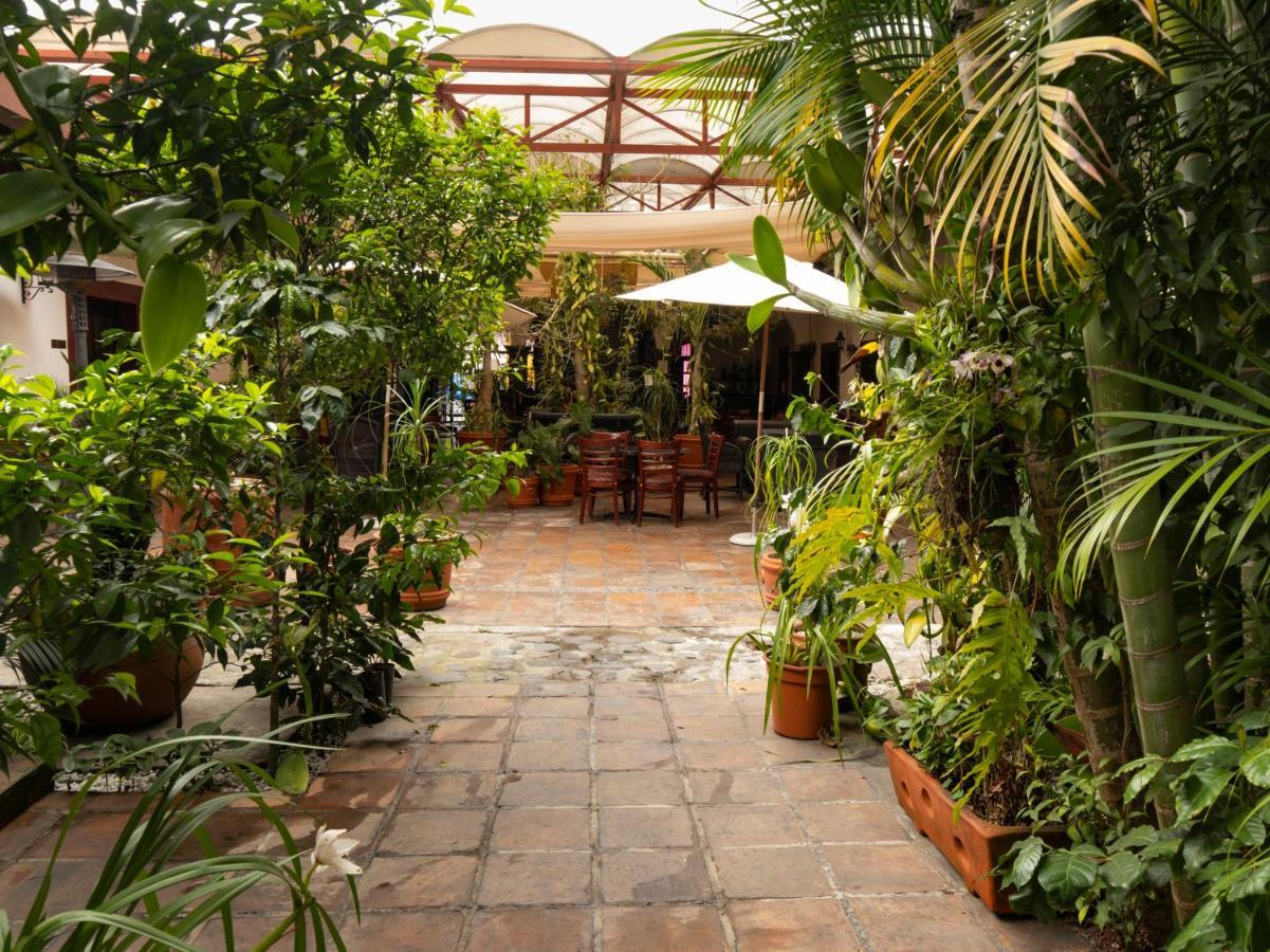 Hotel Casa Real Del Cafe 코아테펙 외부 사진